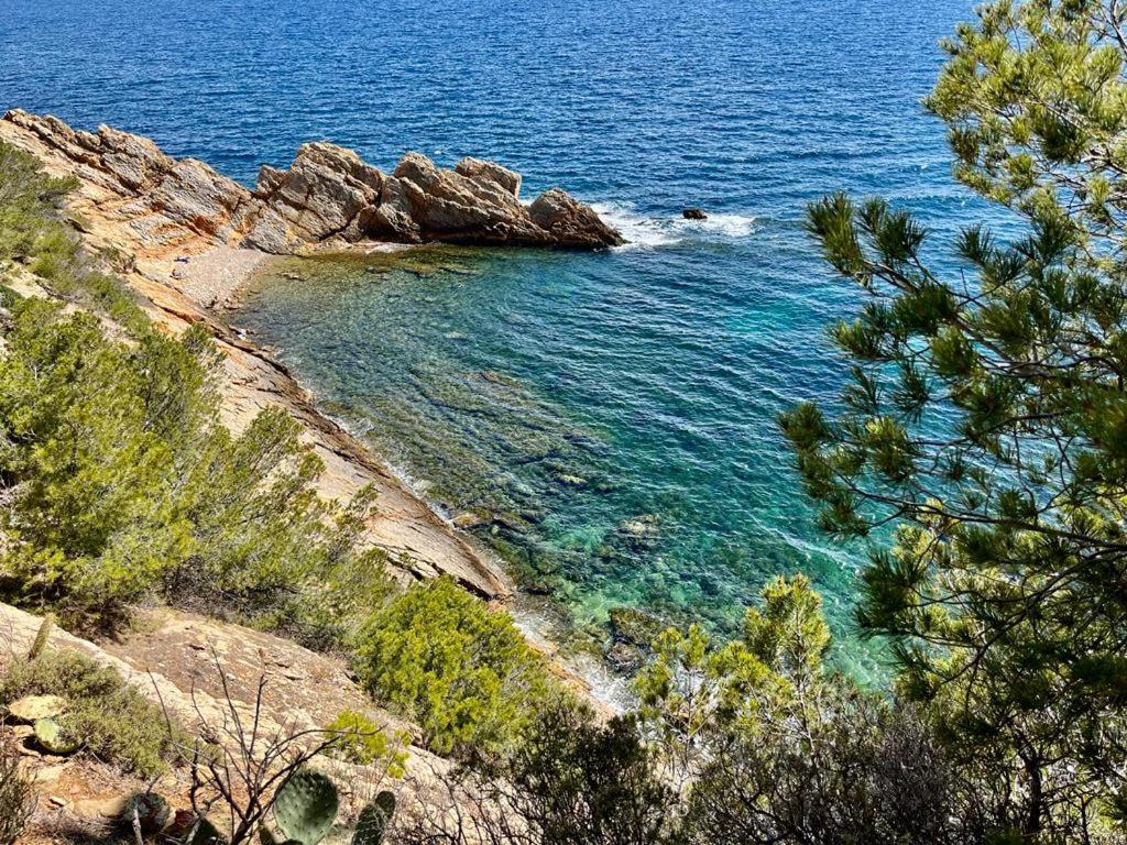 Appartement Au Calme, Calanque Des Figuieres Ensues la Redonne Bagian luar foto
