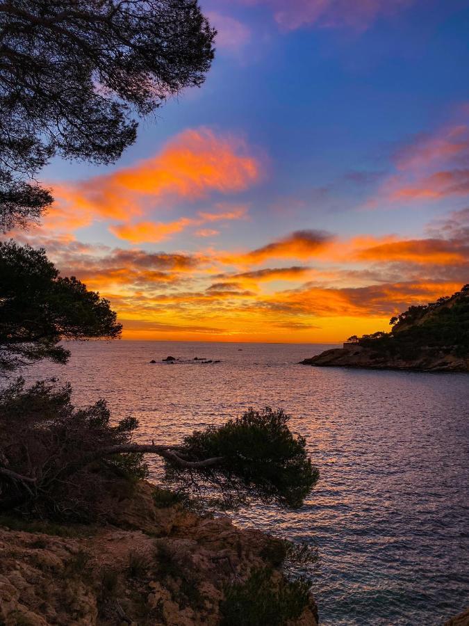 Appartement Au Calme, Calanque Des Figuieres Ensues la Redonne Bagian luar foto